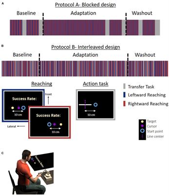 Adaptation to Laterally Asymmetrical Visuomotor Delay Has an Effect on Action But Not on Perception